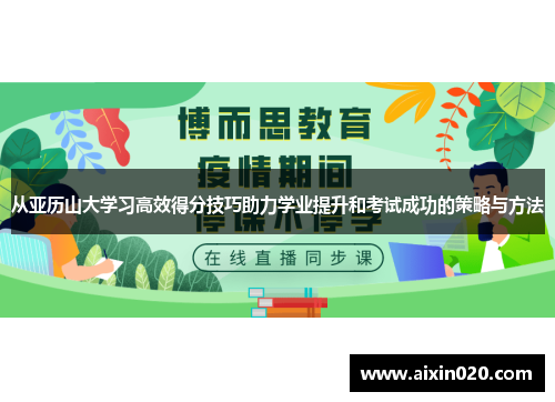 从亚历山大学习高效得分技巧助力学业提升和考试成功的策略与方法