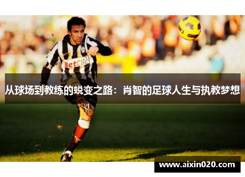 从球场到教练的蜕变之路：肖智的足球人生与执教梦想